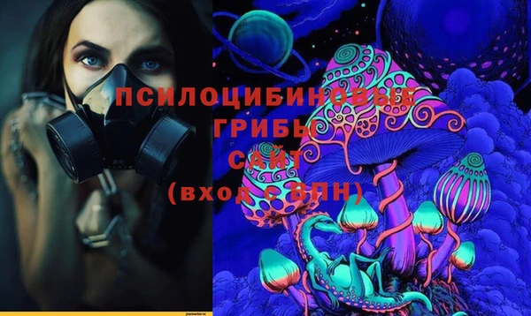 прущая мука Алзамай