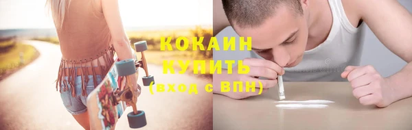 прущий лед Ельня