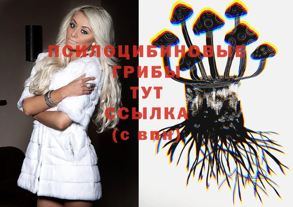 прущая мука Алзамай