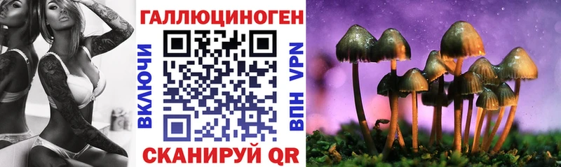 хочу наркоту  darknet как зайти  Галлюциногенные грибы Psilocybe  Кирсанов 
